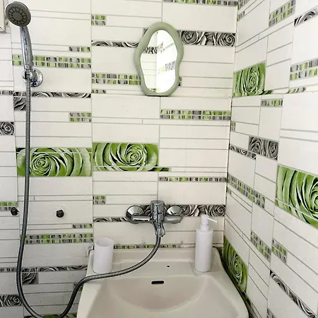 мишел 캠프장 *