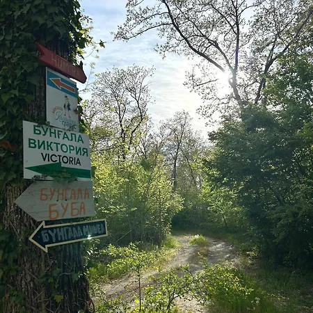 캠프장 мишел