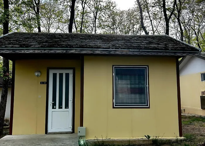 мишел Campingplatz Warna