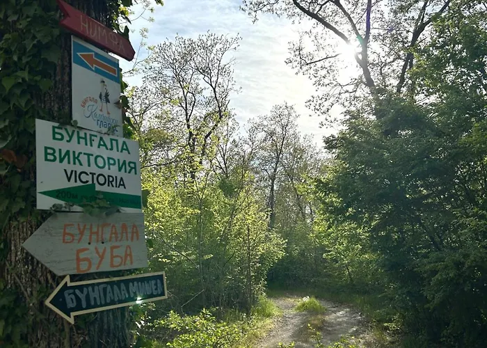 Campingplatz мишел